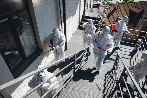 Best Mold Damage Restoration  in Gretna, FL