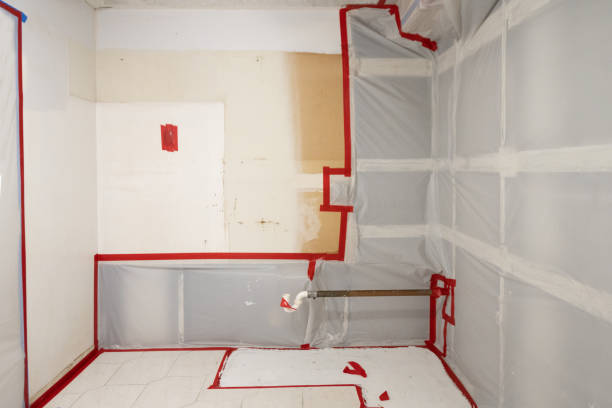 Best Black Mold Removal  in Gretna, FL