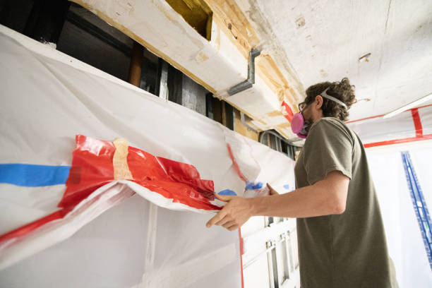 Best Mold Odor Removal Services  in Gretna, FL