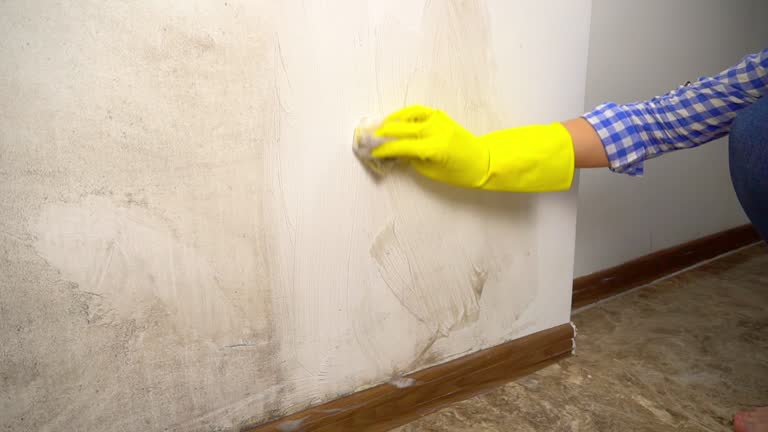 Best Forensic Mold Investigation  in Gretna, FL