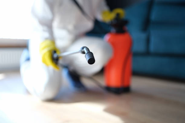 Professional Mold Removal in Gretna, FL