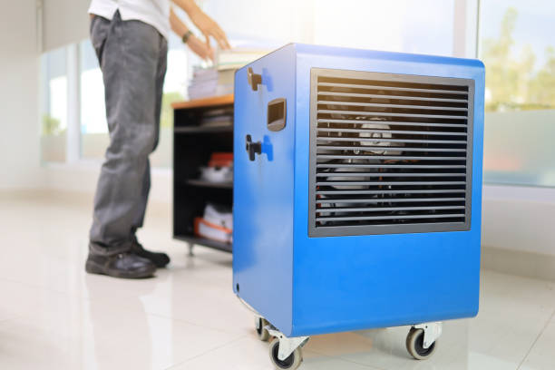 Best Mold Removal for HVAC Installations  in Gretna, FL