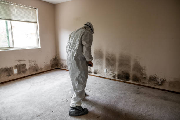 Best Comprehensive Air Testing for Mold Contaminants  in Gretna, FL